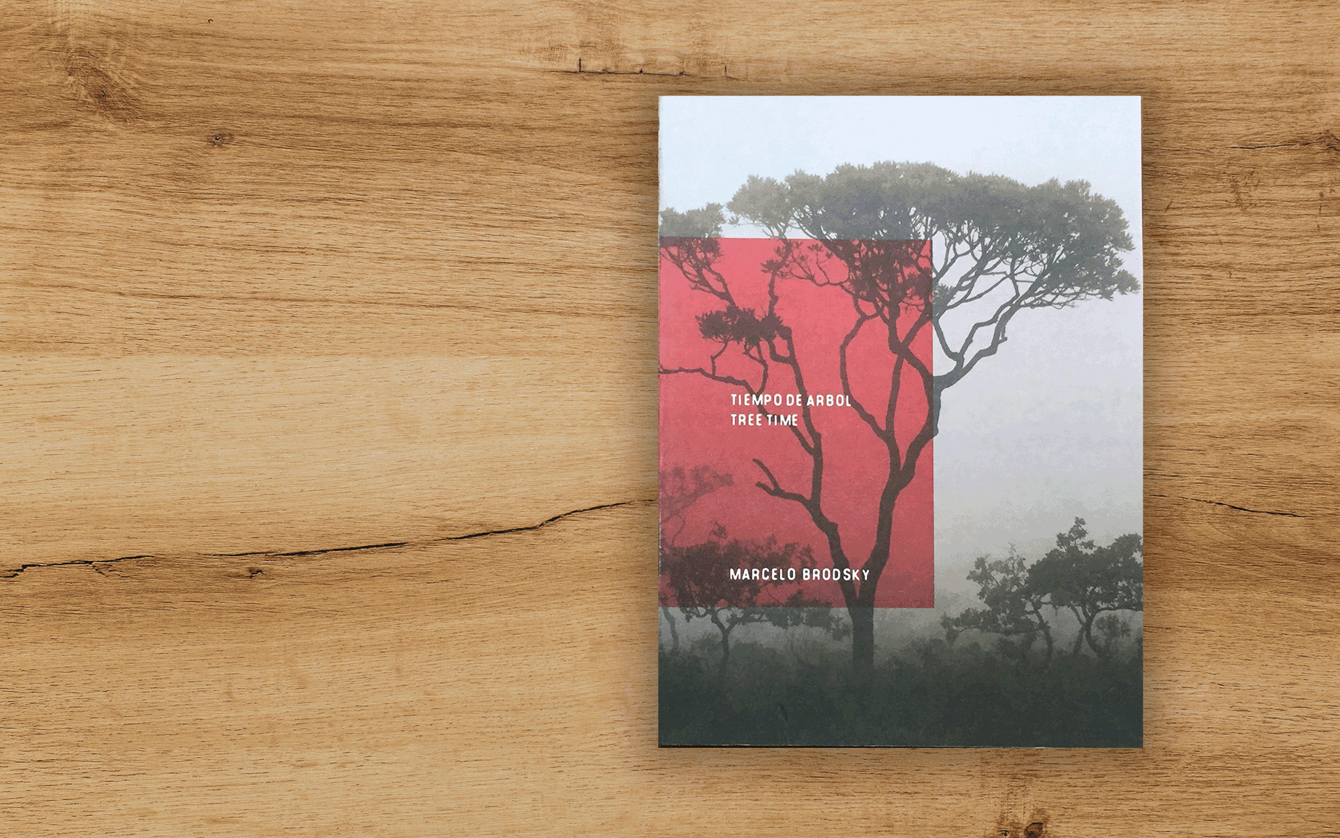 GIF2 Tiempo del arbol, Fotolibro de Marcelo Brodsky. Editorial La Luminosa.